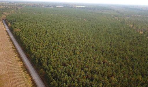 Photo of SOLD!!  138 Acres of Hunting Land For Sale in Southampton County VA!