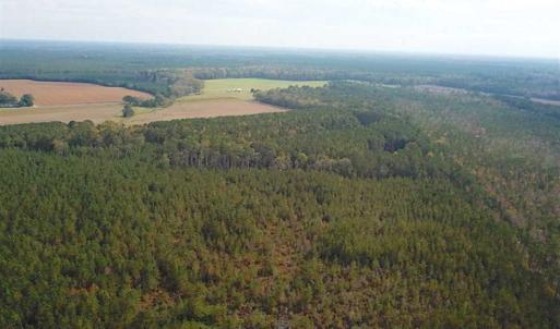 Photo of SOLD!!  138 Acres of Hunting Land For Sale in Southampton County VA!