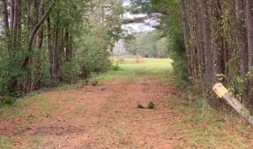 Photo of 54 Acres of Farm and Timber Land For Sale in Pitt County NC!