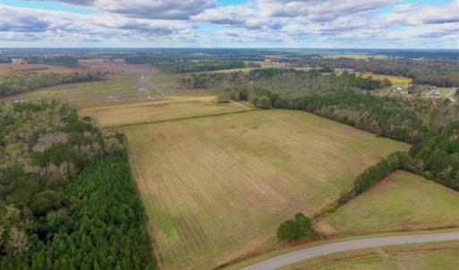 Photo of 54 Acres of Farm and Timber Land For Sale in Pitt County NC!