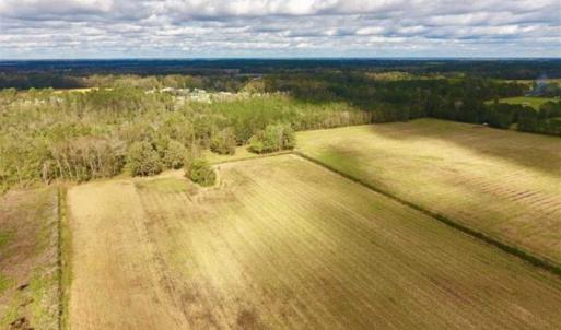 Photo of 54 Acres of Farm and Timber Land For Sale in Pitt County NC!