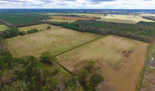Photo of 54 Acres of Farm and Timber Land For Sale in Pitt County NC!