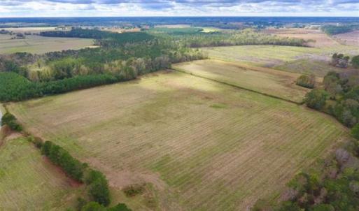 Photo of 54 Acres of Farm and Timber Land For Sale in Pitt County NC!