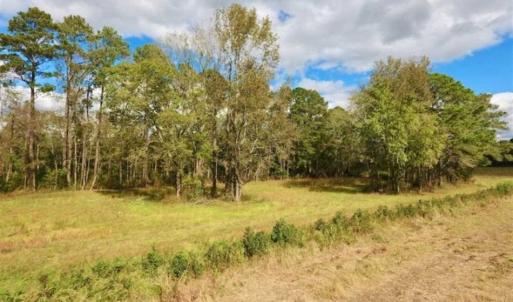 Photo of 54 Acres of Farm and Timber Land For Sale in Pitt County NC!