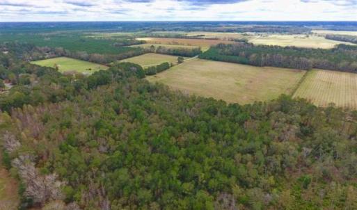 Photo of 54 Acres of Farm and Timber Land For Sale in Pitt County NC!