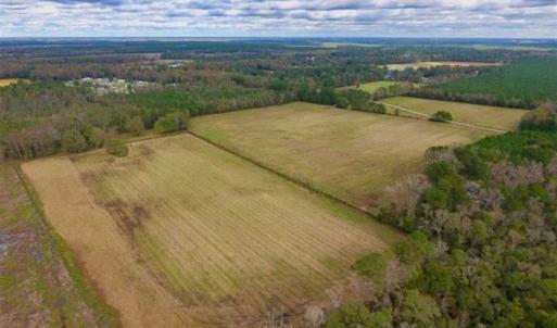 Photo of 54 Acres of Farm and Timber Land For Sale in Pitt County NC!