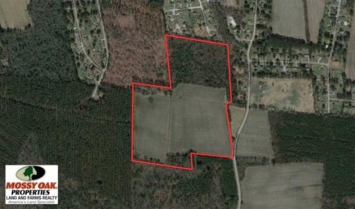 Photo of 54 Acres of Farm and Timber Land For Sale in Pitt County NC!
