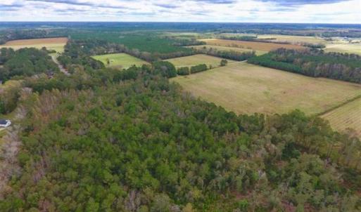 Photo of 54 Acres of Farm and Timber Land For Sale in Pitt County NC!