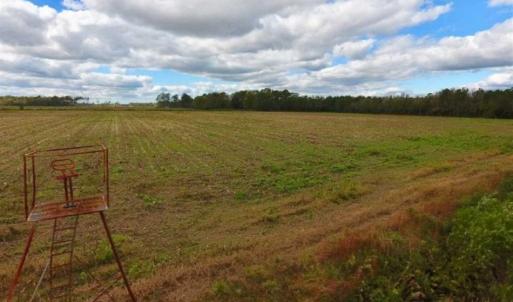 Photo of 54 Acres of Farm and Timber Land For Sale in Pitt County NC!