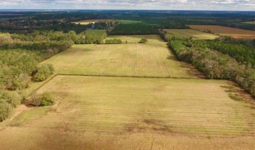Photo of 54 Acres of Farm and Timber Land For Sale in Pitt County NC!