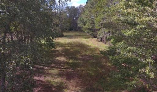 Photo of 54 Acres of Farm and Timber Land For Sale in Pitt County NC!