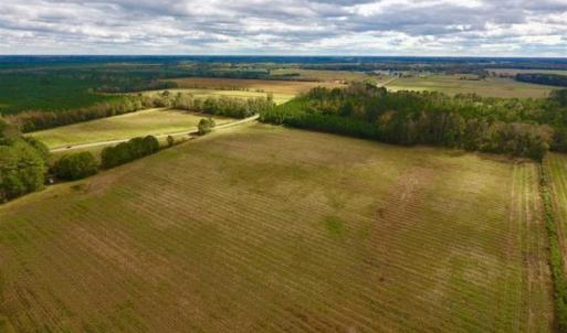 Photo of 54 Acres of Farm and Timber Land For Sale in Pitt County NC!