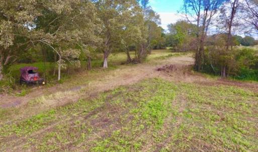 Photo of 54 Acres of Farm and Timber Land For Sale in Pitt County NC!