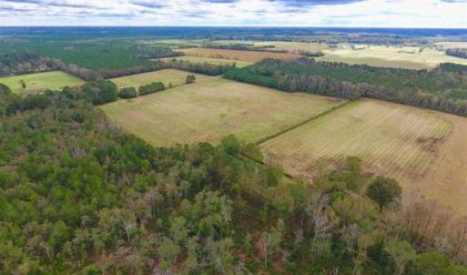 Photo of 54 Acres of Farm and Timber Land For Sale in Pitt County NC!