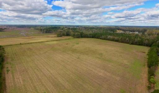 Photo of 54 Acres of Farm and Timber Land For Sale in Pitt County NC!