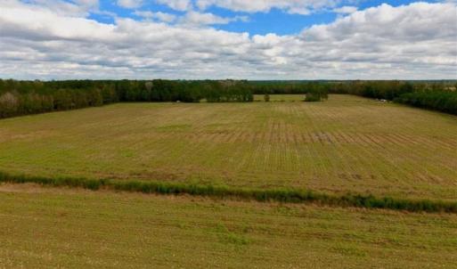 Photo of 54 Acres of Farm and Timber Land For Sale in Pitt County NC!
