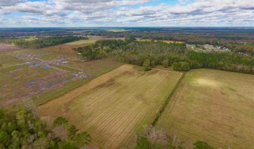 Photo of 54 Acres of Farm and Timber Land For Sale in Pitt County NC!