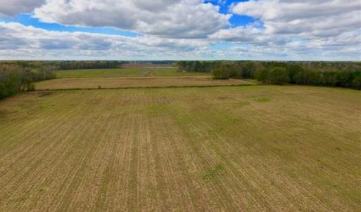 Photo of 54 Acres of Farm and Timber Land For Sale in Pitt County NC!