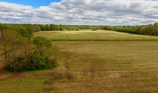 Photo of 54 Acres of Farm and Timber Land For Sale in Pitt County NC!