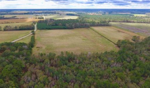 Photo of 54 Acres of Farm and Timber Land For Sale in Pitt County NC!