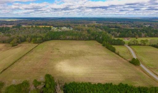 Photo of 54 Acres of Farm and Timber Land For Sale in Pitt County NC!