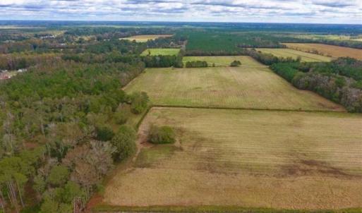 Photo of 54 Acres of Farm and Timber Land For Sale in Pitt County NC!