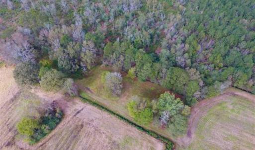 Photo of 54 Acres of Farm and Timber Land For Sale in Pitt County NC!
