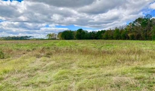 Photo of 54 Acres of Farm and Timber Land For Sale in Pitt County NC!