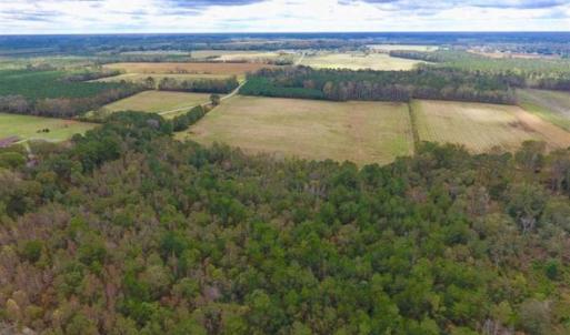 Photo of 54 Acres of Farm and Timber Land For Sale in Pitt County NC!