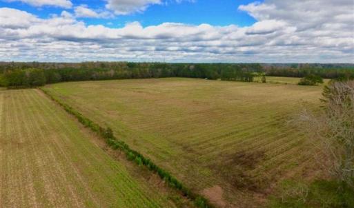 Photo of 54 Acres of Farm and Timber Land For Sale in Pitt County NC!