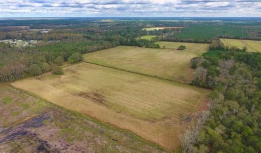 Photo of 54 Acres of Farm and Timber Land For Sale in Pitt County NC!