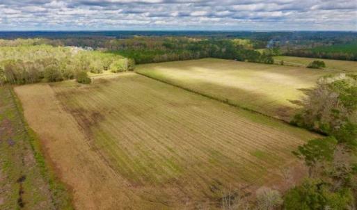 Photo of 54 Acres of Farm and Timber Land For Sale in Pitt County NC!