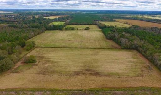 Photo of 54 Acres of Farm and Timber Land For Sale in Pitt County NC!