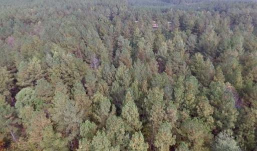 Photo of UNDER CONTRACT!!  21.2 Acres of Recreational and Hunting Land For Sale in Lunenburg County VA!