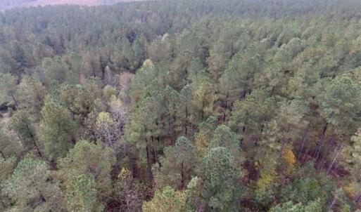 Photo of UNDER CONTRACT!!  21.2 Acres of Recreational and Hunting Land For Sale in Lunenburg County VA!