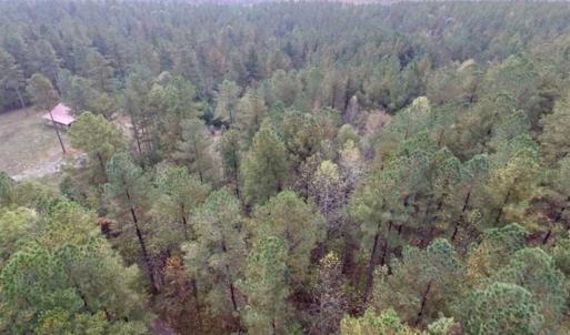 Photo of UNDER CONTRACT!!  21.2 Acres of Recreational and Hunting Land For Sale in Lunenburg County VA!