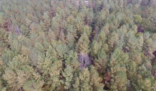 Photo of UNDER CONTRACT!!  21.2 Acres of Recreational and Hunting Land For Sale in Lunenburg County VA!