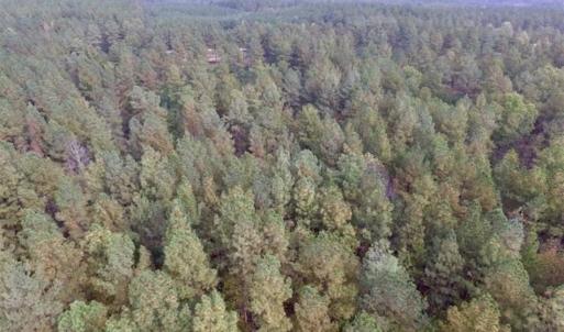 Photo of UNDER CONTRACT!!  21.2 Acres of Recreational and Hunting Land For Sale in Lunenburg County VA!