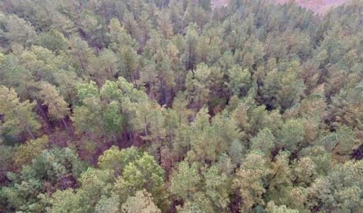Photo of UNDER CONTRACT!!  21.2 Acres of Recreational and Hunting Land For Sale in Lunenburg County VA!