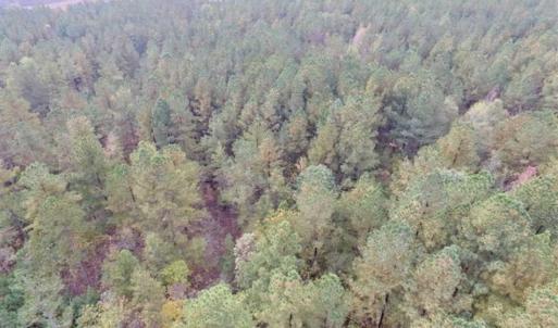 Photo of UNDER CONTRACT!!  21.2 Acres of Recreational and Hunting Land For Sale in Lunenburg County VA!