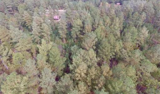 Photo of UNDER CONTRACT!!  21.2 Acres of Recreational and Hunting Land For Sale in Lunenburg County VA!