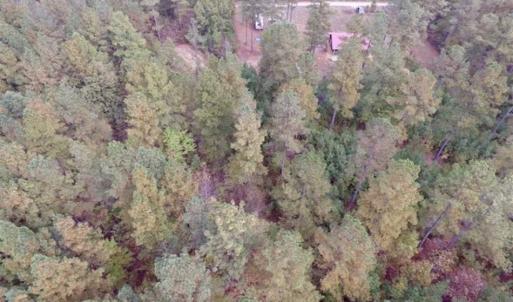 Photo of UNDER CONTRACT!!  21.2 Acres of Recreational and Hunting Land For Sale in Lunenburg County VA!