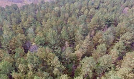 Photo of UNDER CONTRACT!!  21.2 Acres of Recreational and Hunting Land For Sale in Lunenburg County VA!