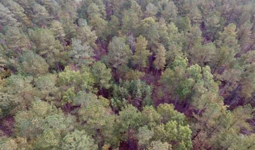 Photo of UNDER CONTRACT!!  21.2 Acres of Recreational and Hunting Land For Sale in Lunenburg County VA!