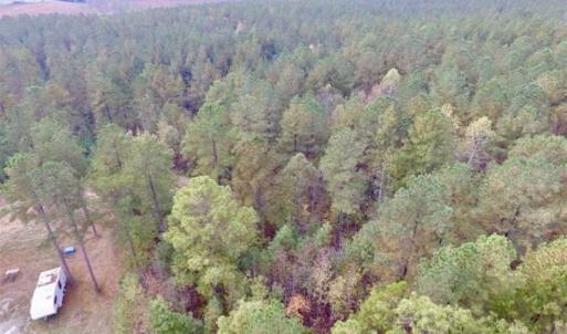 Photo of UNDER CONTRACT!!  21.2 Acres of Recreational and Hunting Land For Sale in Lunenburg County VA!