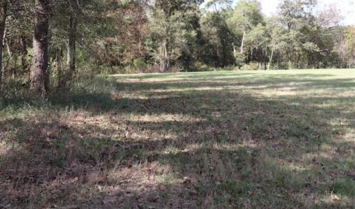 Photo of 67.95 +/- acres of Pasture and Forest Land For Sale In Robeson County NC!