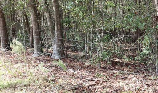 Photo of 67.95 +/- acres of Pasture and Forest Land For Sale In Robeson County NC!