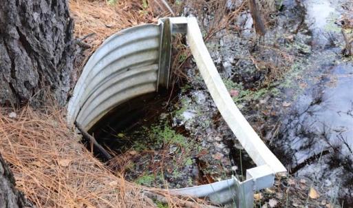 Photo of 67.95 +/- acres of Pasture and Forest Land For Sale In Robeson County NC!