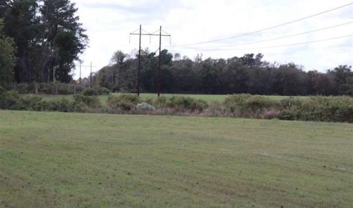 Photo of 67.95 +/- acres of Pasture and Forest Land For Sale In Robeson County NC!