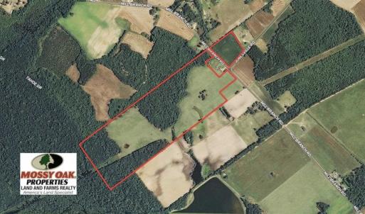 Photo of 67.95 +/- acres of Pasture and Forest Land For Sale In Robeson County NC!